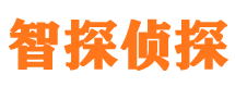 九原外遇出轨调查取证